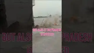 #flooding #flood #india #disaster #uttarpradesh #trendingshorts #disasterresponse #shortvideo #save