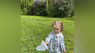 Оглядовий бокс, MiDeer