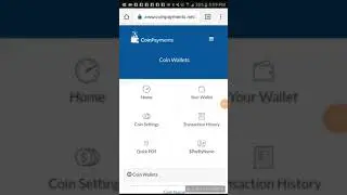 BITCOIN WALLET - Coinpayments.net Review