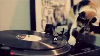 #Dmc Mystic - The hip hop cat gigs scratch demo