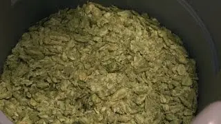 Late Addition Hops Brew | Beer Geeks - Ora TV