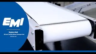 DD and Trim Line Conveyors Belt Replacement