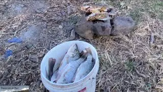 Unos atarrayasos efectivos para esta fritanga 