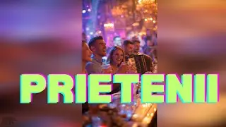BearMusic - Prietenii