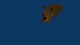 Schwein renderung