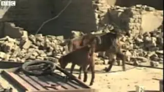 Pakistan earthquake victims 'need more help'