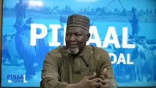 L'ethnie Peule et ses différents clans ! Leñol Fulbe e Kinde muun ! Bassirou Koda Bah 