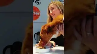 Highlights from the Global Pet Expo 2024!