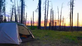Car Camping in the White Mountains! (Fly Fishing Small Streams!)