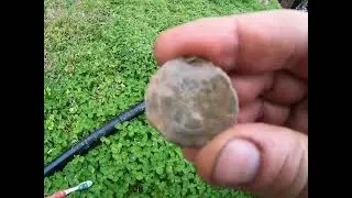 Metal Detecting: Found a Cotton Bale Seal while digging in the backyard.