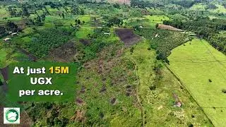 49 Acres of Freehold titled land on Sale 