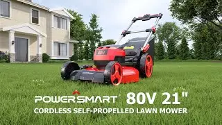 PowerSmart 80V 21