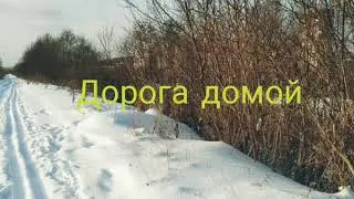 Зимняя прогулка к р.Позимь. Эпилог. Winter walk to the Pozim river. Epilogue.