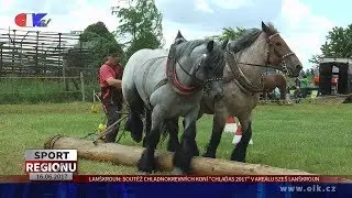 Lanškroun: Soutěž chladnokrevných koní “Chlaďas 2017” v areálu SZeŠ Lanškroun