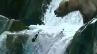 BORN FOR ICE - Bulmers Cider Commercial 2006