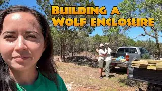 Building A Wolf Enclosure | Part 2