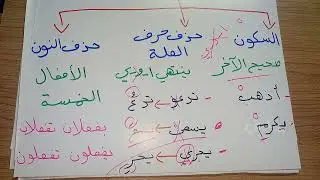 أسلوب الشرط للصف الرابع الإعدادي