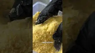 Bukan buat yang suka mendang mending&mdash;kastengel ini 180 ribu tapi sekali gigit kamu langsung paha