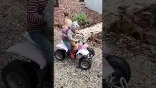 Wheelin! Brotherly love on the battery quad #fun #quads #4x4 #wheeling #puppy