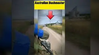 Australian  Bushmaster#shorts #ukraine #russia #australia #bushmaster