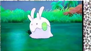 How to catch Goomy in Pokemon  Sun and Moon.