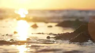 #P0001;Nhạc kh&ocirc;ng lời chạm đến cảm x&uacute;c &ndash; Emotional Piano Instrumental for the Soul