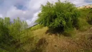 Raceflight Revolt F4 with Bolt 4 in 1 esc.