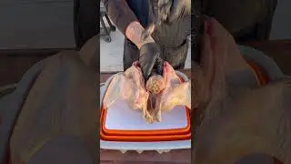 Как приготовить индейку в кляре #spatchcock #индейка #рецептиндейки #ужинизиндейки #деньблагодаре...