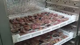 Fish drying machinery / Fish hot air drying