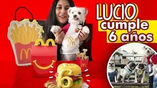 Celebrando los 6 a&ntilde;os de Lucio 🥳🐶