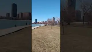 Windy City Skyline