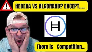 ℏ HEDERA ℏ VS ALGORAND? EXCEPT THERE IS NO COMPETITION!! 🚫@rftghyjukiol