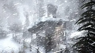 FROZEN CATACLYSM Blizzard 2025 with Howling Snowstorm Ambience and Extreme Cold