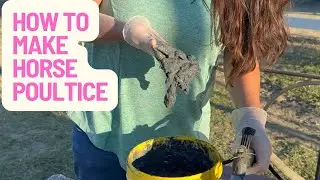 Poultice for Horses: How to Make It & Why It Works (+ Simple DIY Fly Spray)!