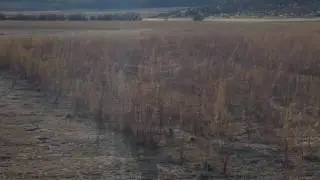 Mona Utah Reservoir Flying Spiders 2 - Travels With Phil - Oct 2016 - unedited