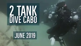2 Tank Dive Cabo June 2019