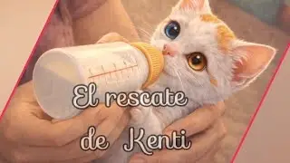 UN LUGAR PARA QUEDARSE. 2 - El rescate de Kenti