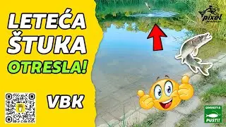 Pecanje &scaron;tuke na metalnu ka&scaron;iku | FOX Rage Street Fighter Perch poker 200cm 7-28g | VBK