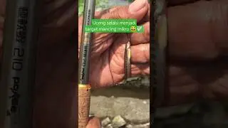 Uceng selalu menjadi target mancing mikro 😆✅ #microfishing #tanagofishing #mancinguceng