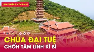 Linh thiêng cõi phật: Chùa Đại Tuệ - chốn tâm linh kì bí