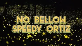 Speedy ortiz - no bellow (lyrics)| ost life is strange