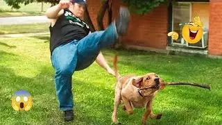 Unbelievable! 😱 FUNNY DOGS 2026 – The Best Dog Fails and Goofy Moments Ever 🤪🐶 #18