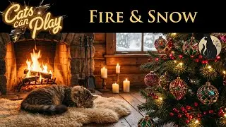 Cat Christmas Cabin | Fire & Snow Sounds  (No Music) | Study, Relax, Sleep | Winter Ambience