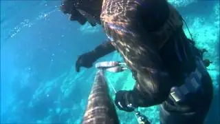 spearfishing in greece,rofos 9 kila sta 7 metra