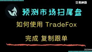 预测市场扫尾盘神器 TradeFox ， 复制跟单、止盈止损 ，最佳组合。