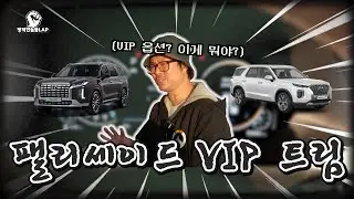 팰리세이드에도 숨겨진 등급이 있다고?? 아마 처음 보실 겁니다!