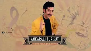 Ankaralı Turgut - Roman