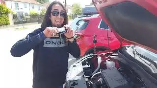 Como usar el repelente de roedores de liquimoly.