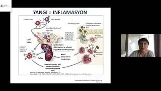 EDİNSEL İMMUN SİSTEM / Prof. Dr. GÜLDEREN YANIKKAYA  DEMİREL