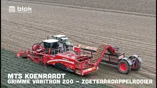 Zoete aardappelen rooien met de GRIMME Varitron 200